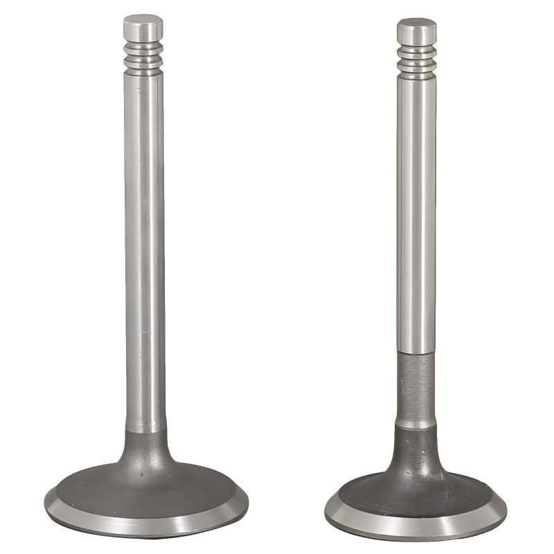 Diesel Engine Intake & Exhaust Valve Set for 170F-1100F image 10
